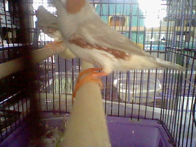 HNI_0026.JPG