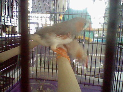 HNI_0027.JPG