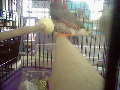 HNI_0029.JPG