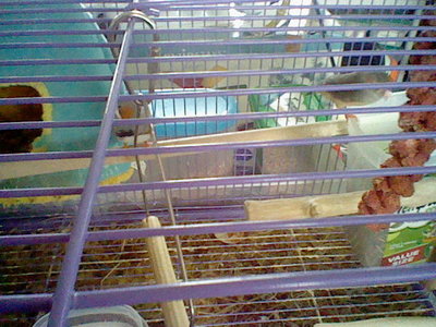 HNI_0036.JPG