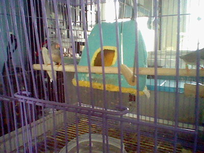 HNI_0037.JPG