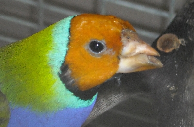DSCN0001.JPG