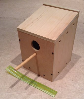 Nest box with ruler for comparison