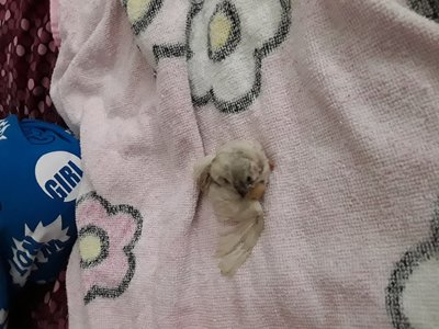20171119_124705.jpg