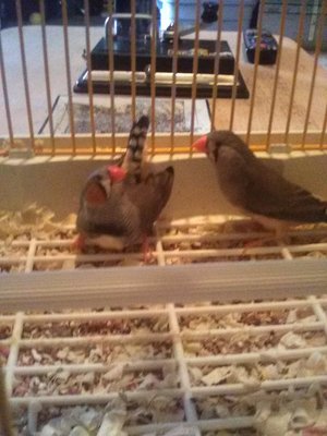 IMG_20171121_114810.jpg