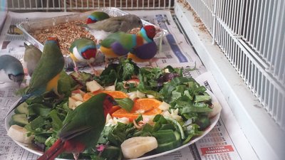 20160304_130019.jpg