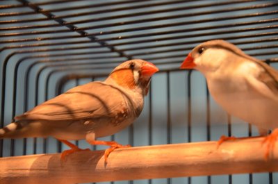 DSC_0943.JPG