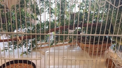 20160304_154459.jpg