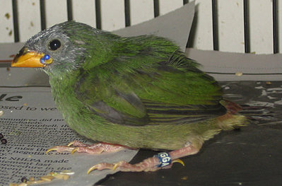 090510b.jpg