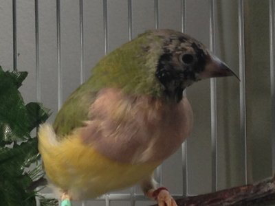 IMG_0918.JPG
