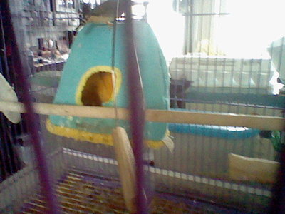HNI_0032.JPG