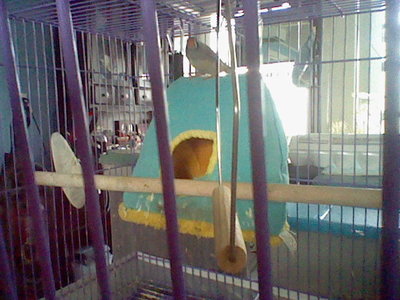 HNI_0038.JPG