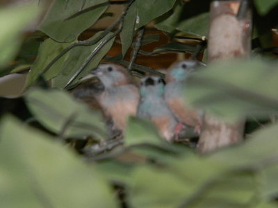 DSCN2220.JPG