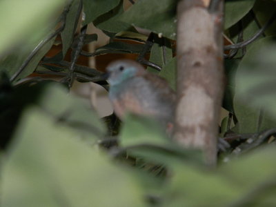DSCN2223.JPG