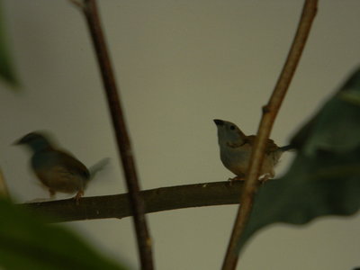 DSCN2226.JPG