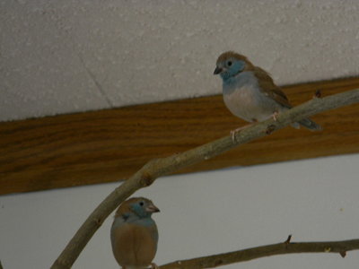 DSCN2225.JPG