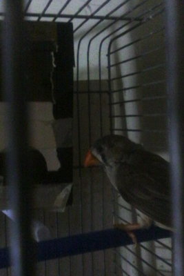 IMG_20171130_094733.jpg