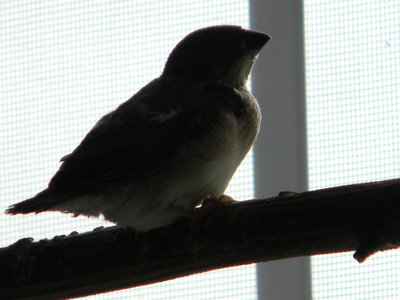 DSCN2231.JPG