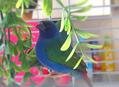 IMG_20170828_141746.jpg