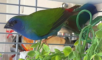 IMG_20170828_141310-1436x845.jpg
