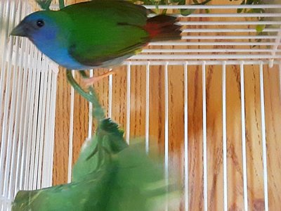 IMG_20171207_011407.jpg