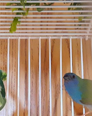 IMG_20171207_011205.jpg