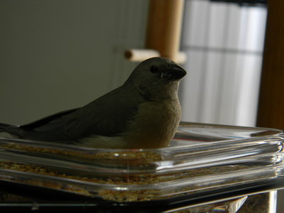 DSCN2236.JPG