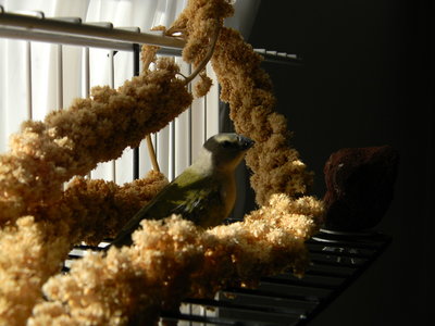 DSCN2237.JPG