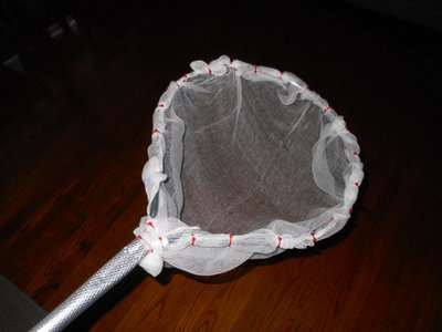 DSCN1211.JPG