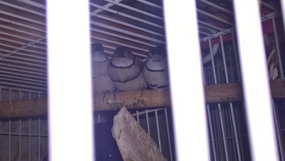 WP_20171125_16_49_37_Pro.jpg