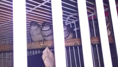 WP_20171125_16_49_20_Pro.jpg