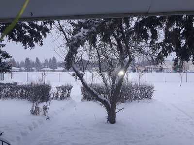 20171230_091851.jpg
