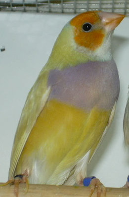 DSCN1734.JPG