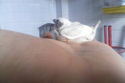 IMG_20180129_140848.jpg