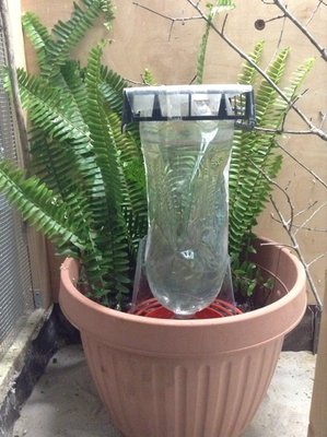 Plastic around back of water dispenser to keep leaves out