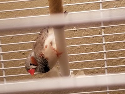 20180208_184830.jpg