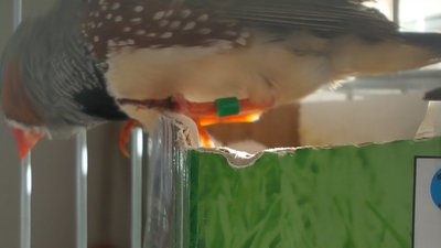 20180227_154454.jpg