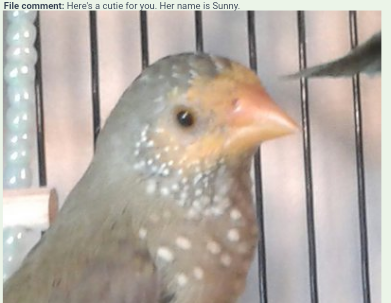 Young female.
