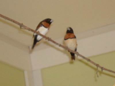 DSC06792.JPG