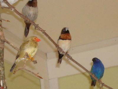 DSC06794.JPG