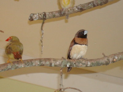 DSC06791.JPG