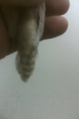 IMG_20180416_192355.jpg