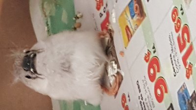 20180508_112657.jpg