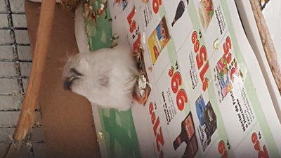 20180508_112646.jpg