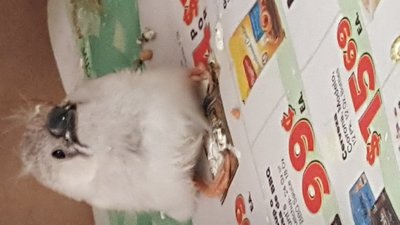 20180508_112701.jpg
