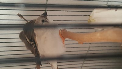 20180512_161643.jpg