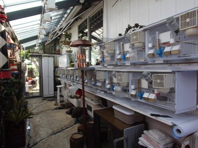 3. Sheltered Bird Room section #1.JPG