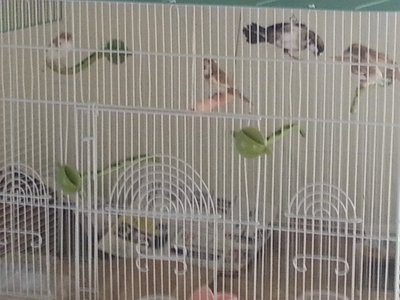 20180809_181412.jpg
