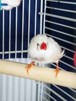 20180716_113159.JPG