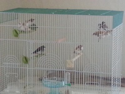 20180812_143328.jpg